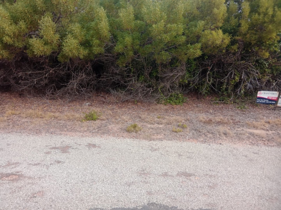 Commercial Property for Sale in Paradise Beach Eastern Cape